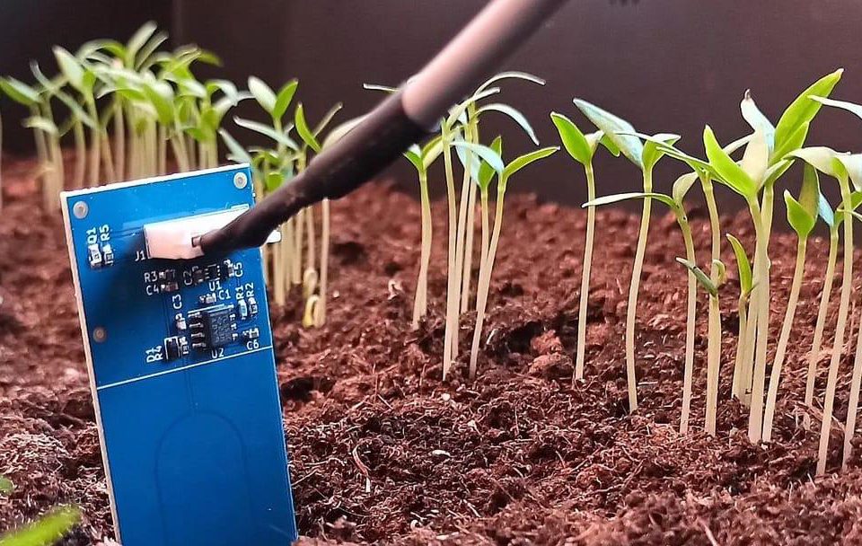 Master Growing Food Using IoT Technology and Data Science